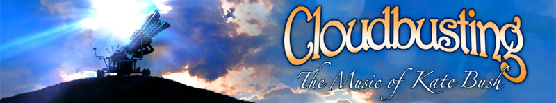 CLOUDBUSTING BANNER